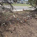 Litter Public Property at 8120 137 Avenue NW