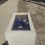 Litter Public Property at 10104 104 Avenue NW
