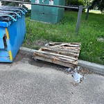 Litter Public Property at 10535 65 Street NW