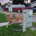Litter Public Property at Patrick J. Ryan Park, 110 Ave Nw, Edmonton T5 P 2 W5