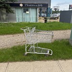 Litter Public Property at 4004 50 Street NW