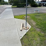 Litter Public Property at 8118 118 Avenue NW