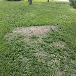 Litter Public Property at 3036 106 St, Edmonton, Ab T6 J 5 M5, Canada