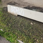 Graffiti Public Property at N53.54 E113.51