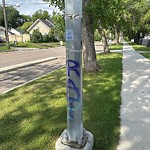 Graffiti Public Property at 11902 86 Street NW