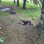 Litter Public Property at 7680 Jasper Avenue NW