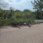 Litter Public Property at N53.42 E113.48