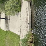Litter Public Property at Patricia Park, 1000 Gault Blvd Nw, Edmonton T5 E 0 E5