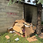 Litter Public Property at 9419 176 Street NW