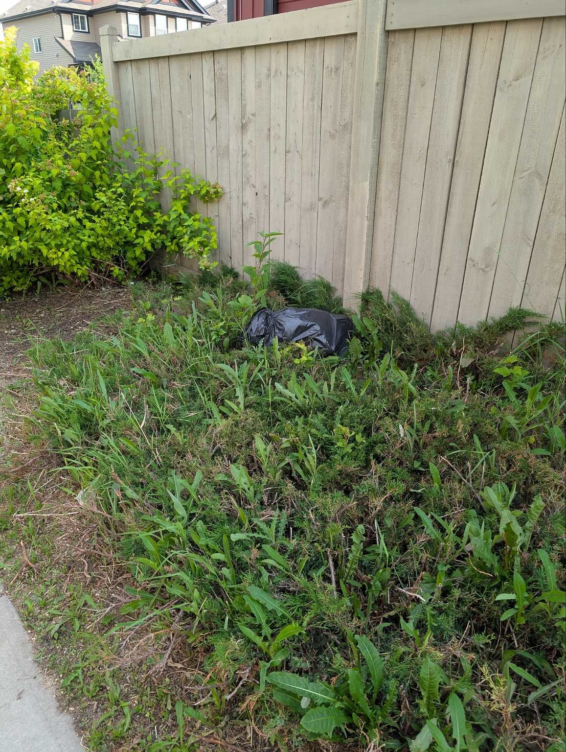 Photo_20260708_162656