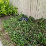 Litter Public Property at 1921 33 Street NW