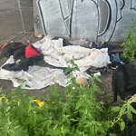 Litter Public Property at 6603 Ada Boulevard NW