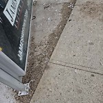 Litter Public Property at 11104 108 Street NW