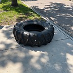 Litter Public Property at 12023 81 Street NW