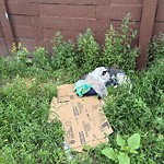 Litter Public Property at 16720 99 Avenue NW