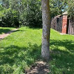 Litter Public Property at 671 Romaniuk Road NW