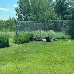 Litter Public Property at 6703 68 Avenue NW