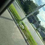 Litter Public Property at 9627 75 Street NW