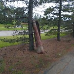 Litter Public Property at 10703 24 Avenue NW