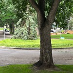 Litter Public Property at 11150 73 Avenue NW