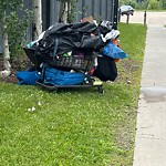 Litter Public Property at 7255 Winterburn Road NW