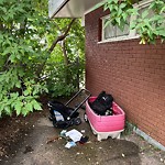 Litter Public Property at 11225 62 Street NW