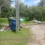 Litter Public Property at 12957 120 Street NW