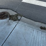 Litter Public Property at 10633 31 Avenue NW