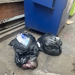 Litter Public Property at 10126 100 Street NW