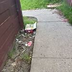 Litter Public Property at 9804 169 Street NW