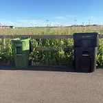Litter Public Property at 2040 164 Street SW