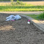 Litter Public Property at 4970 Terwillegar Common NW