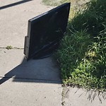 Litter Public Property at 7510 89 Street NW