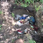 Litter Public Property at 4413 Ada Boulevard NW