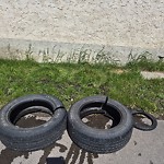 Litter Public Property at 1912 36 Street NW