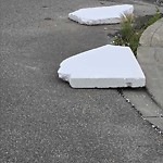 Litter Public Property at 10115 138 Street NW