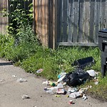 Litter Public Property at 9027 90 Street NW