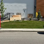 Litter Public Property at 104 Charlesworth Drive SW