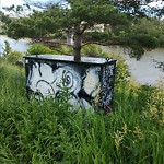 Graffiti Public Property at 9565 Grierson Hill NW