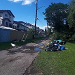 Litter Public Property at 12707 135 Street NW