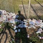 Litter Public Property at 11514 80 Street NW