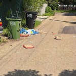Litter Public Property at 9259 77 Street NW