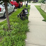 Litter Public Property at 1741 52 A Street SW
