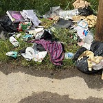 Litter Public Property at 15504 109 Avenue NW