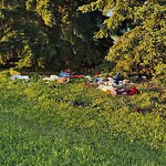 Litter Public Property at 10707 32 A Avenue NW
